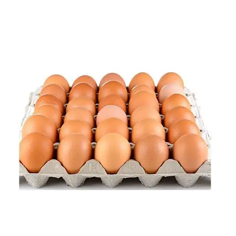donnas eggs x-large