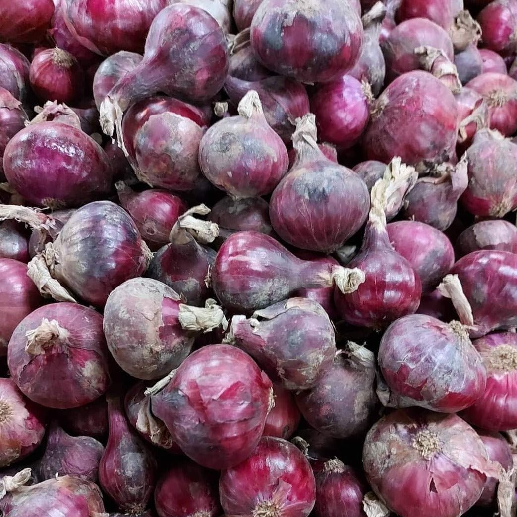 Onion Red Local (1kg) - fresh grocery product