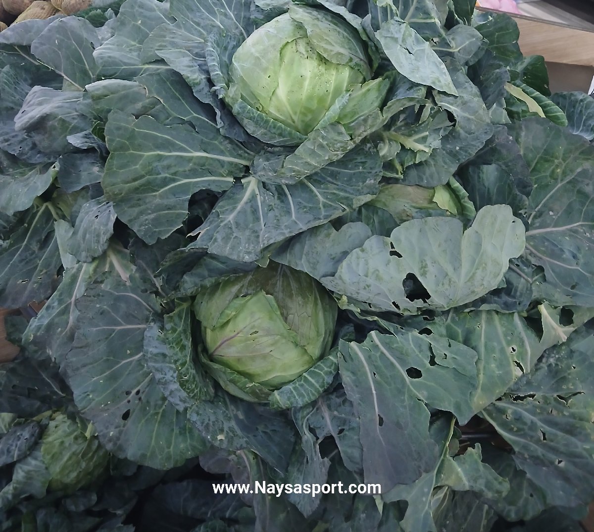 Cabbage Per Head - fresh grocery product