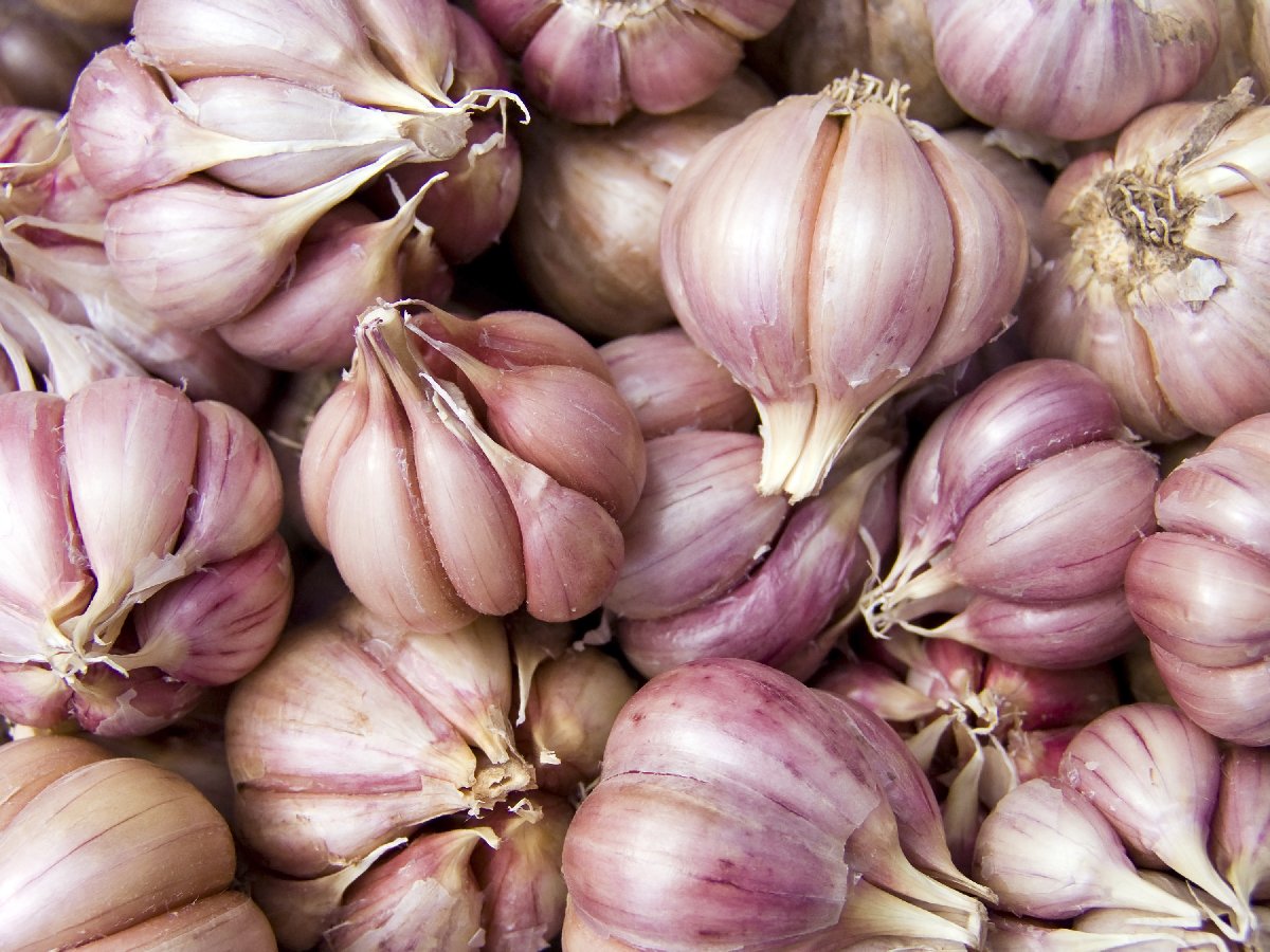 Local Garlic (1kg) - fresh grocery product